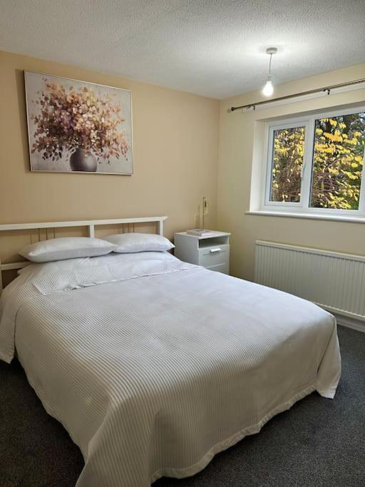 Stylish 2 Bedrooms Flat In A Quiet Cul-De-Sac Area, Near Sheffield City Centre With Free Parking エクステリア 写真